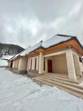 VILA VIKTORIJA